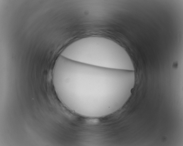 X0000114680374200910211037
