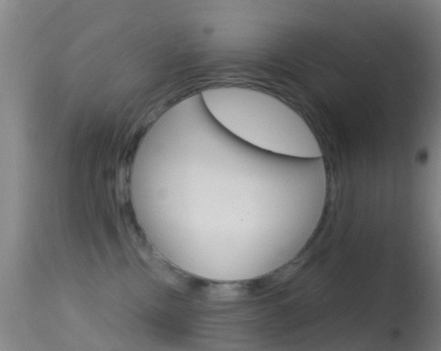 X0000114680378200910211037