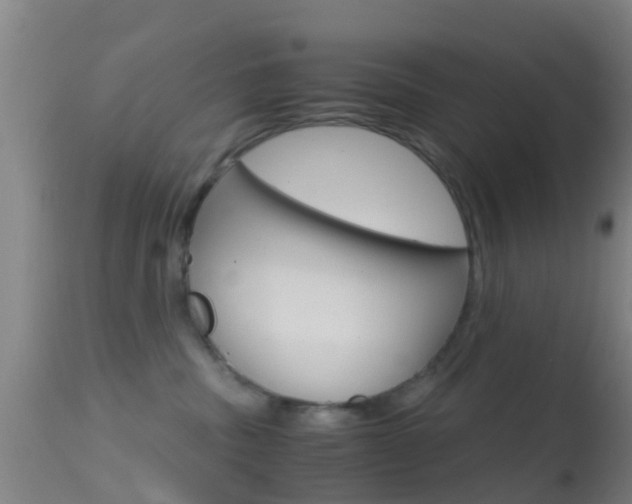 X0000114680379200910211037