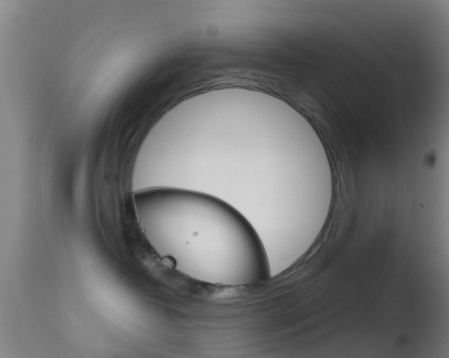 X0000114680382200910211037