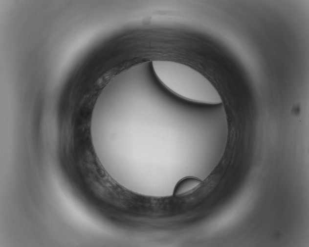 X0000114680383200910211037