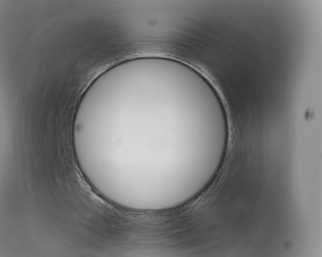 X0000114680385200910211036