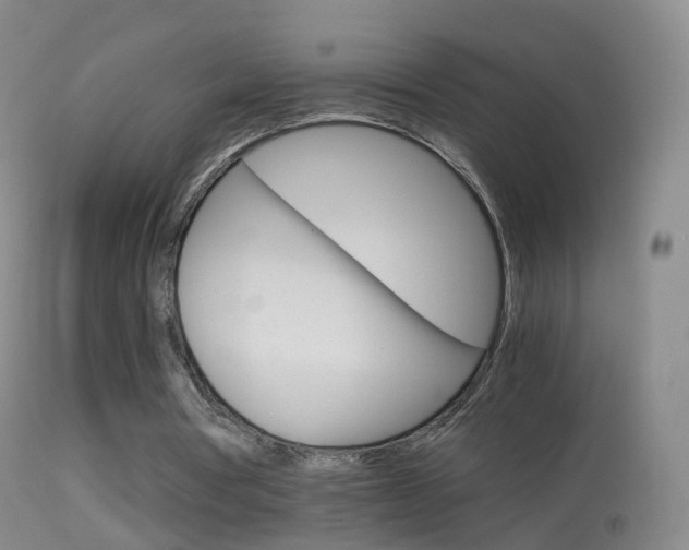 X0000114680386200910211036