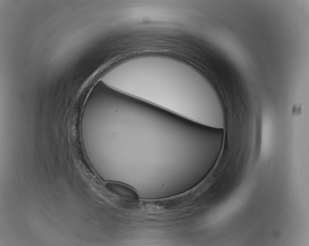 X0000114680387200910211036