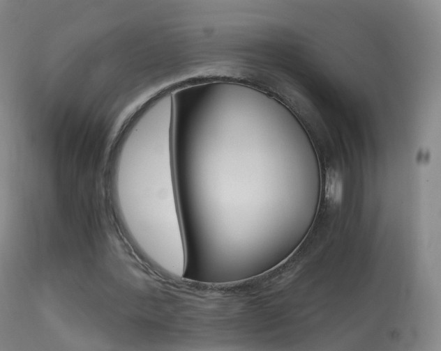 X0000114680388200910211036