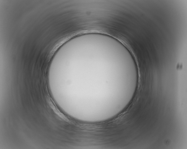 X0000114680389200910211036