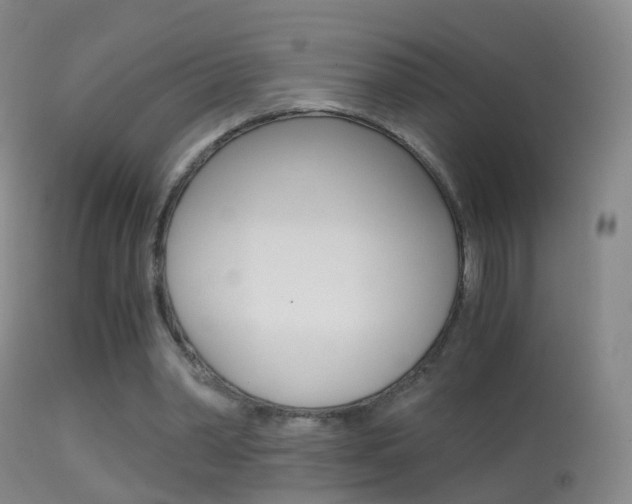 X0000114680390200910211036