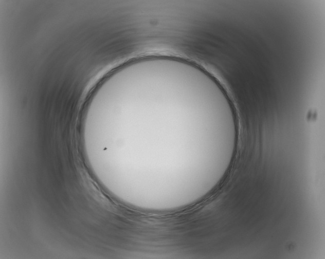 X0000114680391200910211036