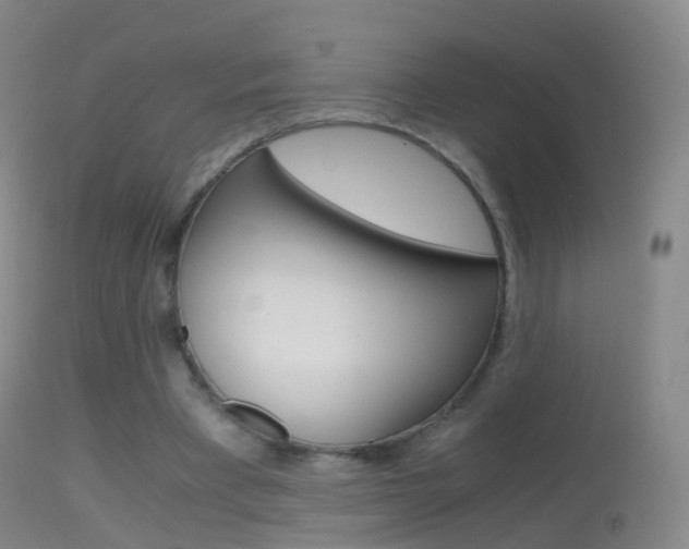 X0000114680393200910211036