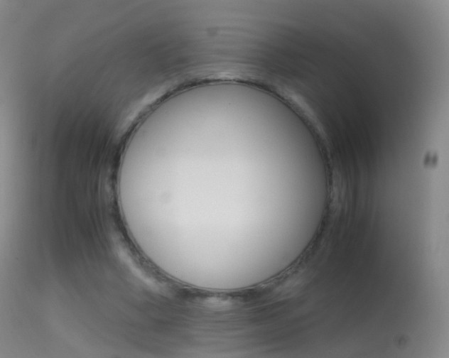 X0000114680394200910211036
