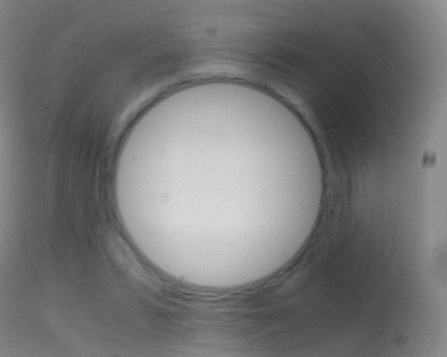 X0000114680399200910211036