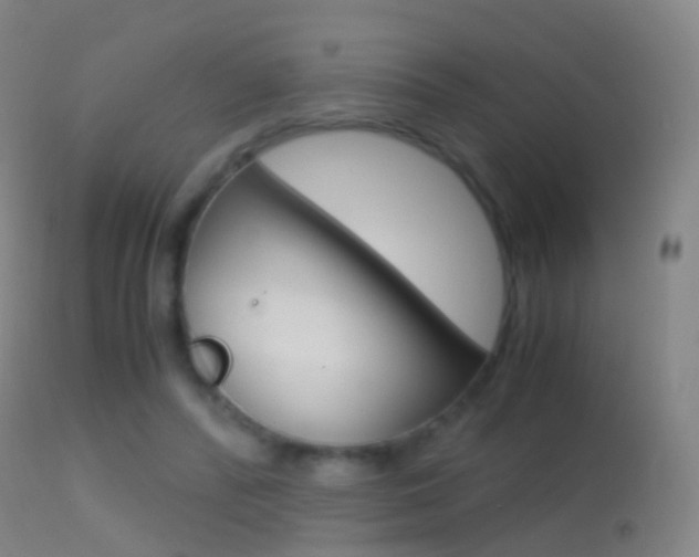 X0000114680400200910211036