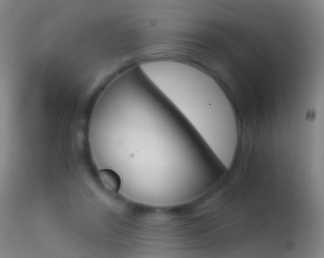 X0000114680404200910211036
