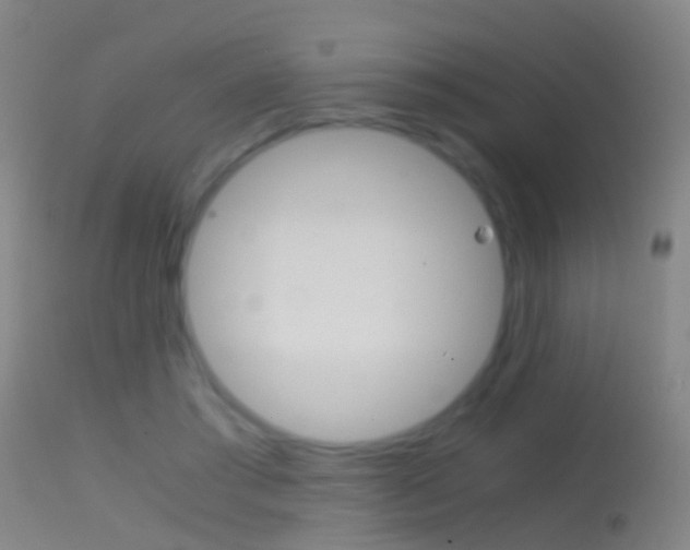 X0000114680405200910211036