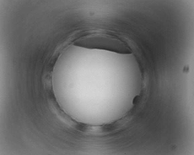 X0000114680409200910211036