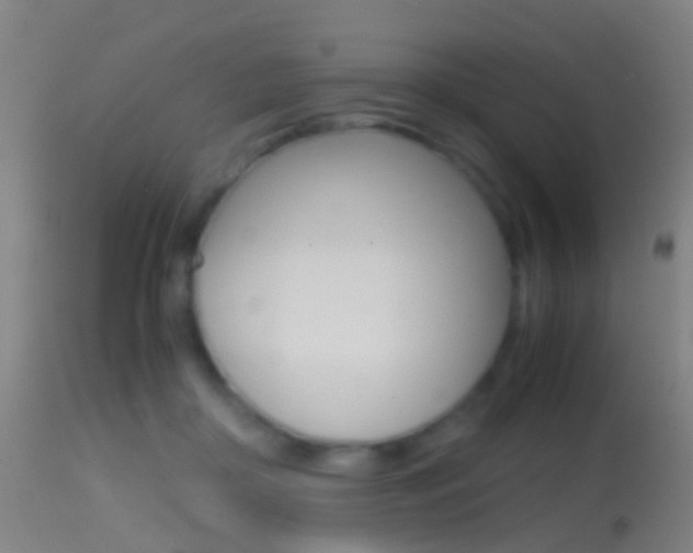 X0000114680410200910211036