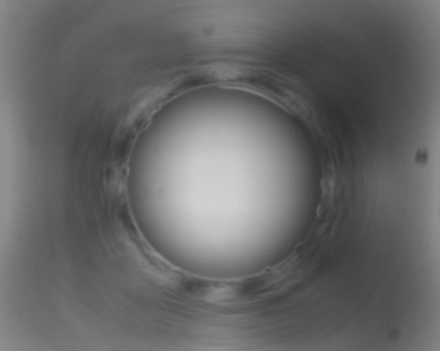 X0000114680411200910211036