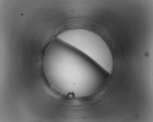 X0000114680412200910211036