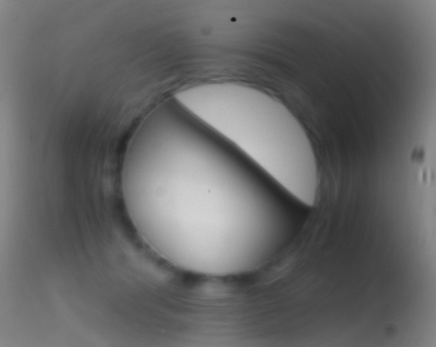 X0000114680416200910211036