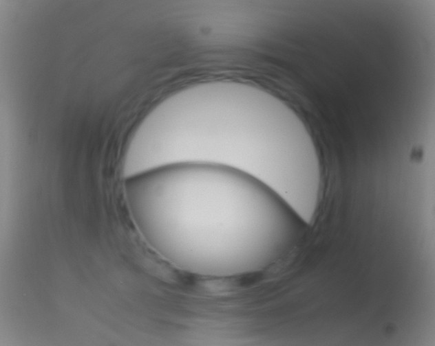 X0000114680417200910211036