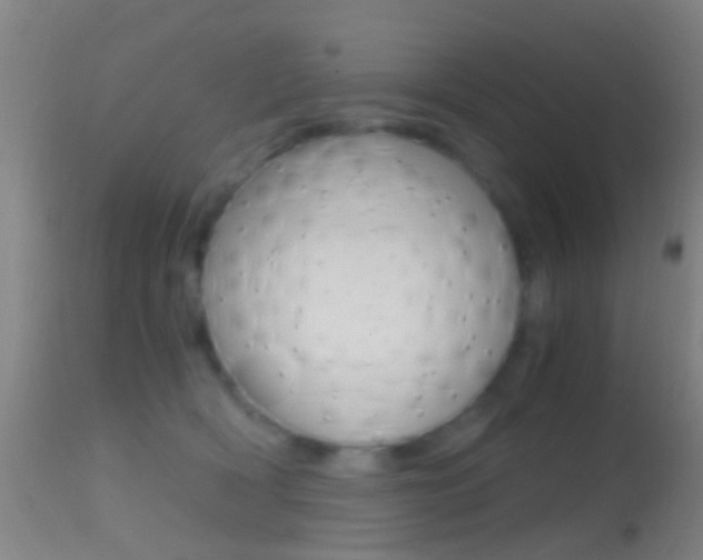X0000114680418200910211036