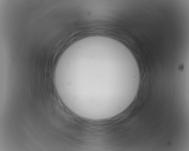 X0000114680421200910211036