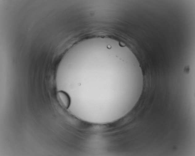 X0000114680422200910211036