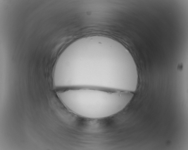 X0000114680423200910211036
