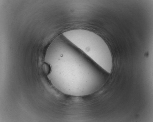X0000114680424200910211036