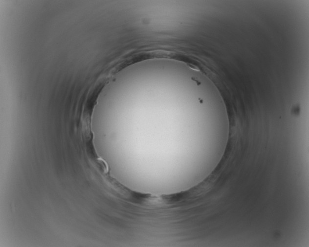 X0000114680425200910211036