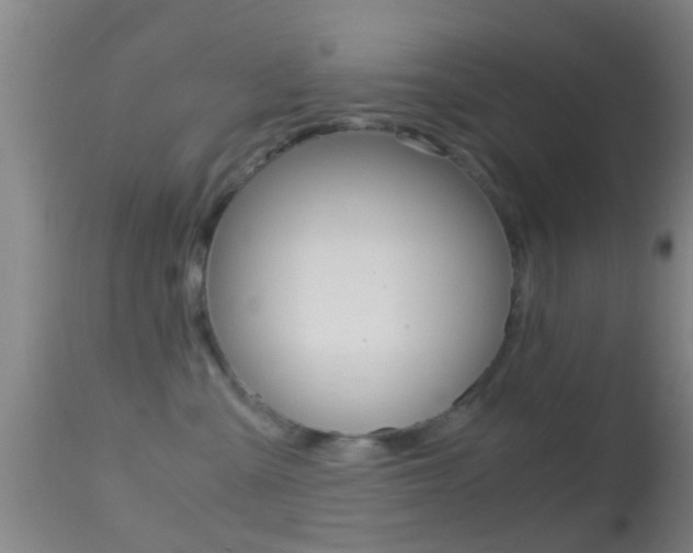 X0000114680427200910211036