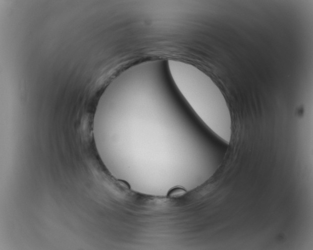 X0000114680428200910211036