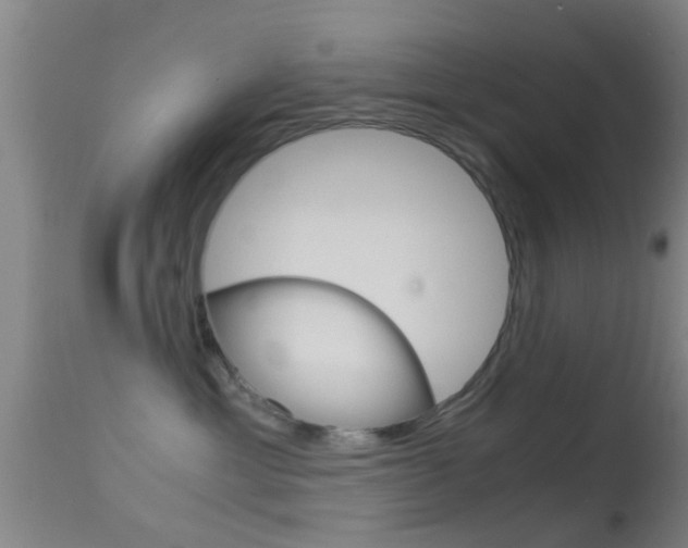 X0000114680429200910211036