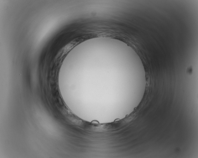 X0000114680430200910211036