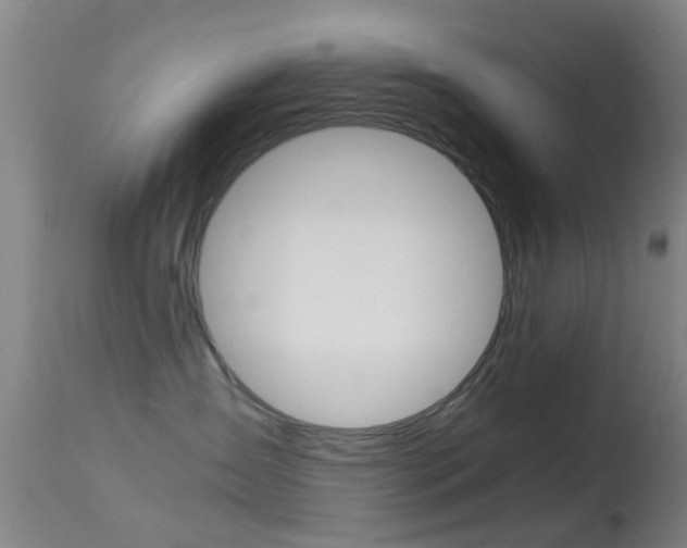 X0000114680431200910211036