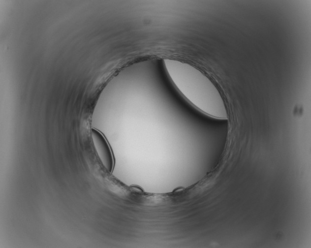 X0000114680432200910211036