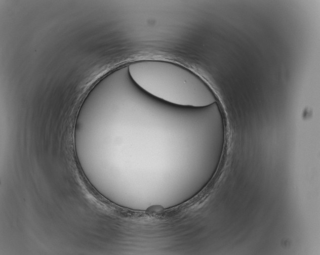 X0000114680433200910211035