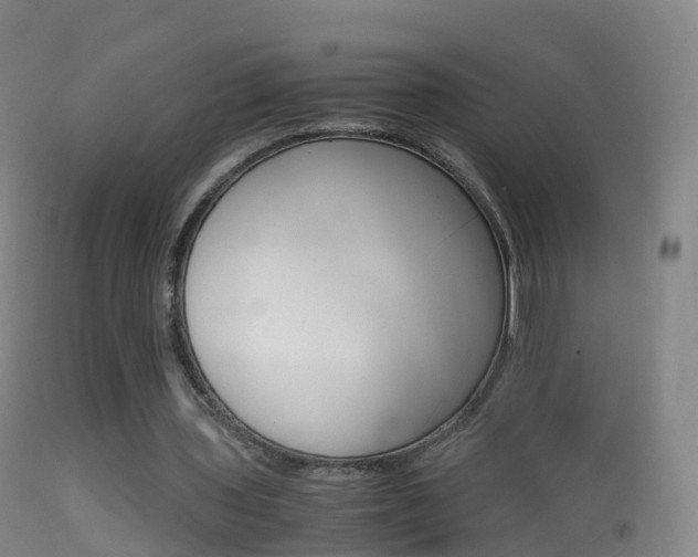 X0000114680435200910211035
