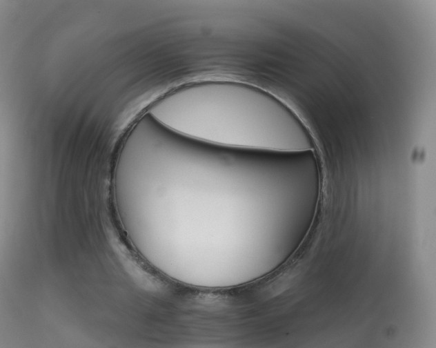 X0000114680437200910211035