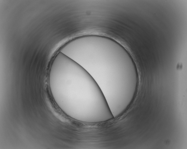 X0000114680438200910211035