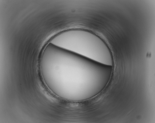 X0000114680439200910211035