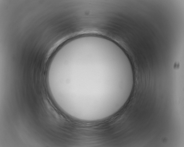 X0000114680440200910211035