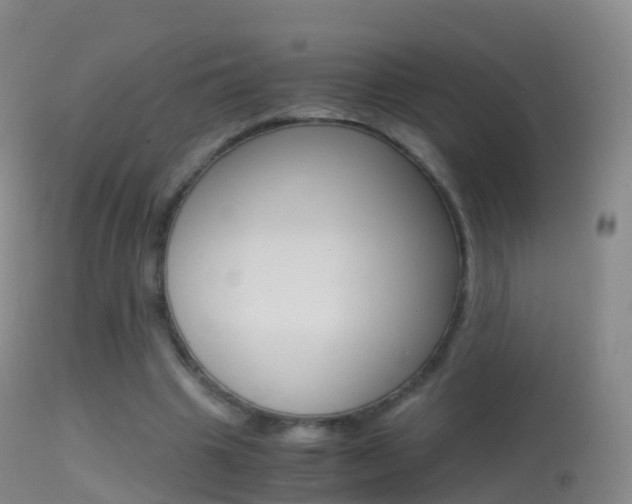 X0000114680441200910211035