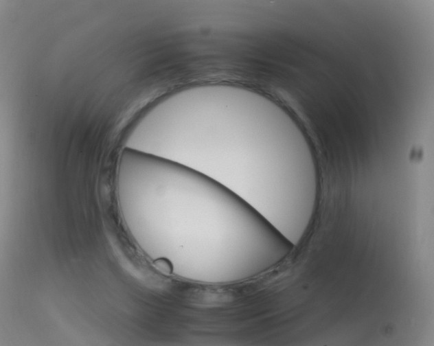X0000114680443200910211035