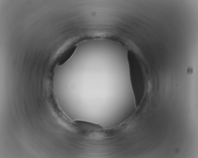 X0000114680444200910211035