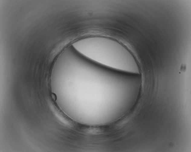 X0000114680445200910211035