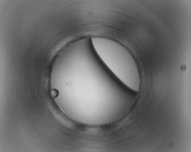 X0000114680446200910211035