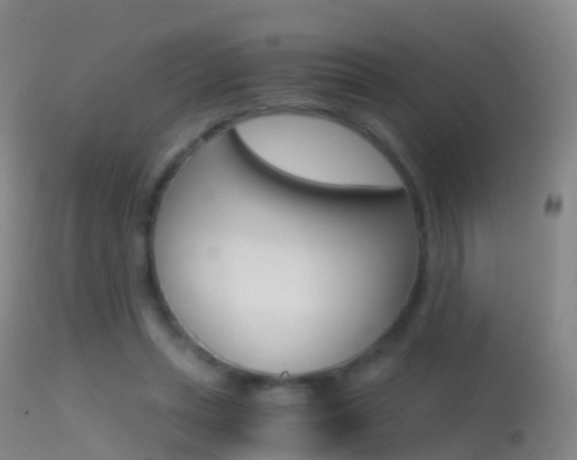 X0000114680447200910211035