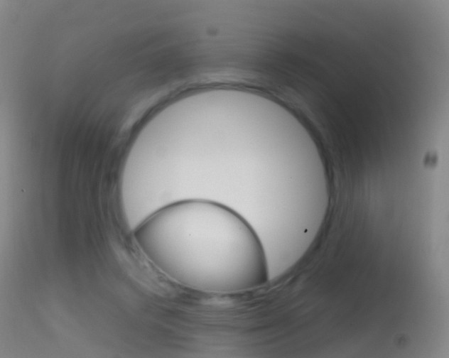 X0000114680448200910211035
