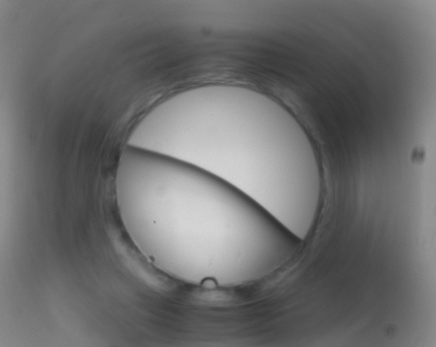 X0000114680449200910211035
